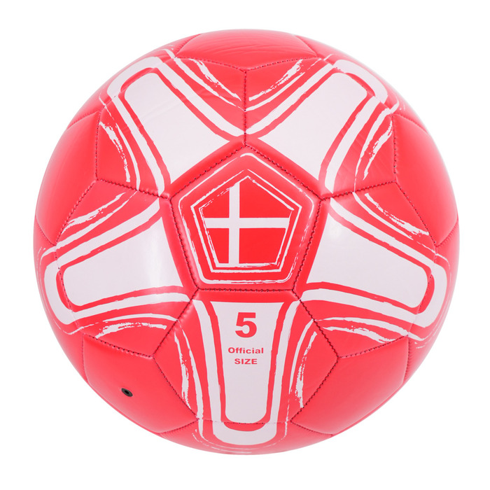 Fodbold Danmark PVC str. 5